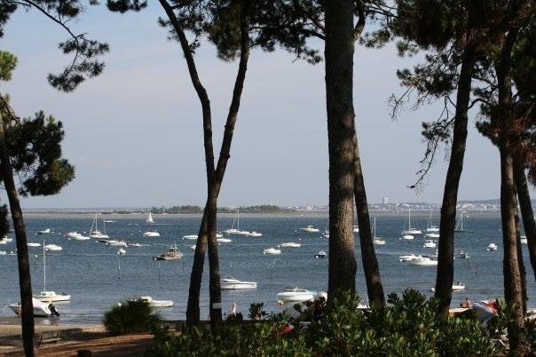 Le Sommet Des Dunes Hotell Lège-Cap-Ferret Rum bild