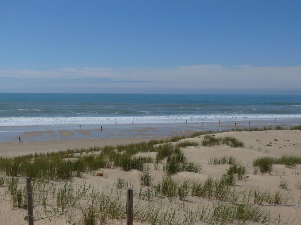 Le Sommet Des Dunes Hotell Lège-Cap-Ferret Rum bild